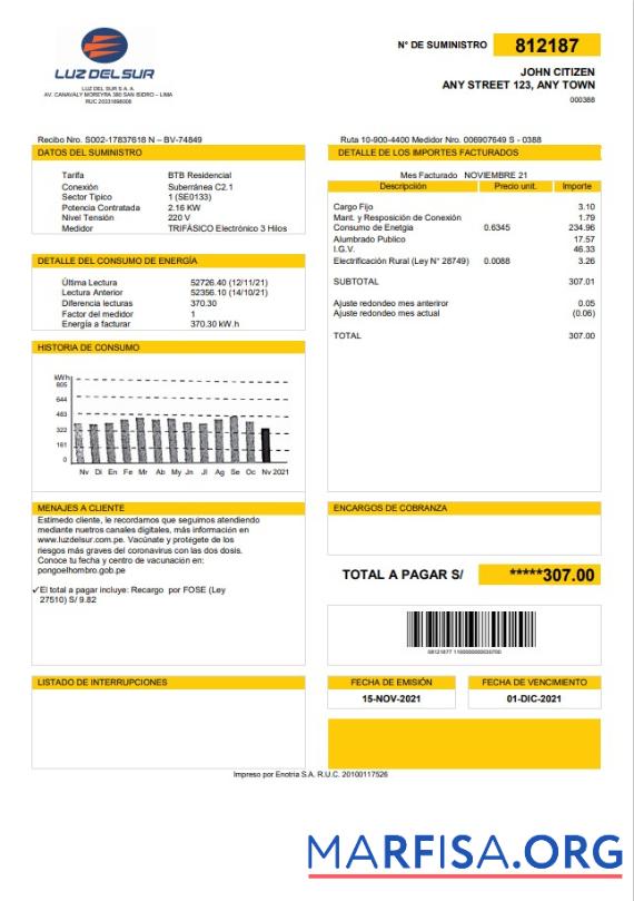 Blank Peru Luz de Sur utility bill template in Word and PDF format, fully editable
